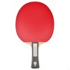 Butterfly Franziska Innerforce ZLC Pro-Line Racket + Dignics 05 + Dignics 05 - 3 of 4
