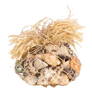 Beachcombers Raffia Wrapped Shell Pack - 1 of 1