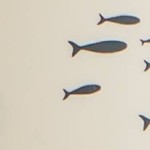 Whales