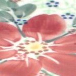 poinsettia