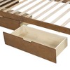 PAGED Twin Size Upholstered Daybed 81" L Modern Wooden Bed Frame with Trundle and 3 Storage Drawers for Bedroom, Living - 3 of 4