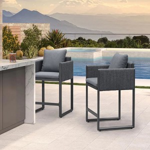 PURPLE LEAF Outdoor Bar Stools Set of 2 Patio Bar Stools Modern