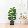 Artificial Fiddle Leaf Fig Tree (Faux Ficus Lyrata) - Woven Basket Pot Included. Realistic Fake Plant for Home/Office/Indoor/Outdoor Decor - 3 of 4