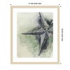 Amanti Art Found Starfish II by Grace Popp Wood Framed Wall Art Print - 4 of 4