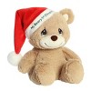 Aurora Medium My Beary 1st Christmas Precious Moments Festive Stuffed ...