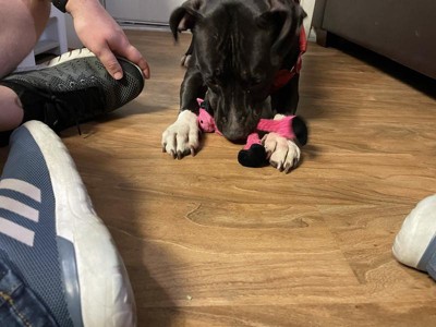 Guest review image 1 of 5, zoom in