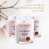 Magnificent 101 Set of 3 Long-Lasting Abundance Unlimted Mindset Smudge Candles | 3.5 Oz Each - 42 Hour Burn - 3 of 4