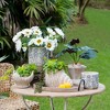 NAYSAYE Planter Sand and Cement Nautilus Shell Planter with Textured Beige Finish for Indoor Outdoor Garden, Beige, 11.5"*7"*7" - 3 of 4