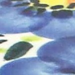 garden of blue