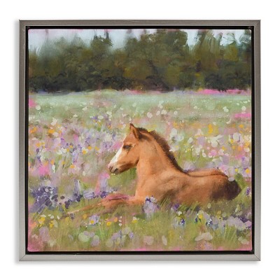 Stupell Industries Foal Horse Lounging Flower Meadow, 18" x 18"