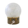 Stony Creek 6.0 Inch Stinkin' Cute Animal Pre-Lit Dome Vase Baby Gift Child Room Novelty Sculpture Lights - 3 of 3