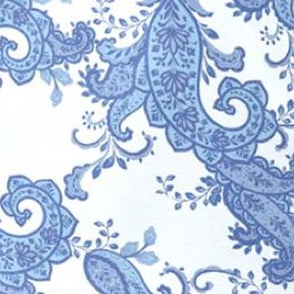 pale blue paisley