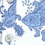 pale blue paisley