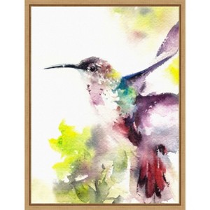 Amanti Art Hummingbird by Canotstop Canvas Wall Art Print Framed 18 x 24-in. - 1 of 4