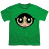 Boys' Short Sleeve the Powerpuff Girls Buttercup Face T-Shirt - 2 of 4