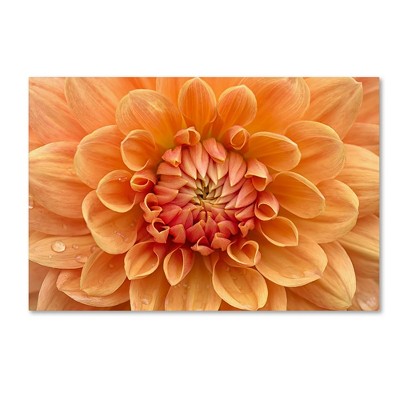 Large Orange Dahlia Canvas Art with Wooden Frame