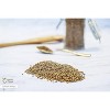 Organic Ajwain Whole 1 Lbs - 3 of 4