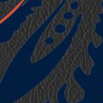 houston astros