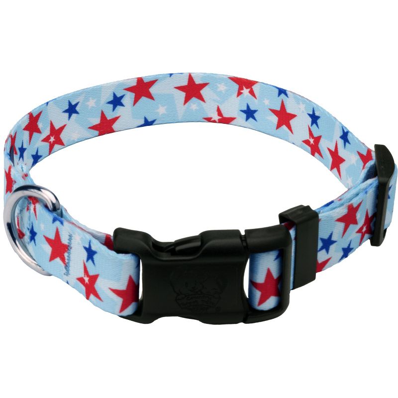 Country Brook Petz Deluxe American Celebration Dog Collar - Made in the U.S.A., 1 of 6
