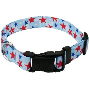 Country Brook Petz Deluxe American Celebration Dog Collar - Made in the U.S.A.
