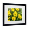Trademark Fine Art - Harri Aho yellow field Matted Framed Art - 3 of 4