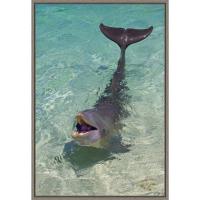 16" x 23" Dolphin in the Ocean by Keren Su Danita Delimont Framed Canvas Wall Art - Amanti Art