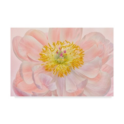 22" x 32" Salmon Pink Peony by Cora Niele - Trademark Fine Art