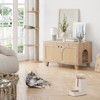 GlasFlength Decorative Storage Cabinet, Modern Shelved Cabinet for Living and Dining Rooms, Ideal for Pet Friendly Spaces, Beige, 31.5"*19.7"*19.7" - 2 of 4