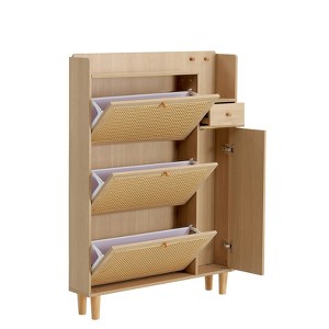 PDTEND Modern Minimalist Rattan Storage Shoe Cabinet - 1 of 4