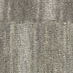 starke grey