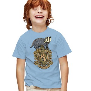 Boys' Harry Potter Vintage Hufflepuff Shield Crest T-Shirt - 1 of 4