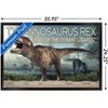 Trends International Dinosaurs - T-Rex Framed Wall Poster Prints - 3 of 4