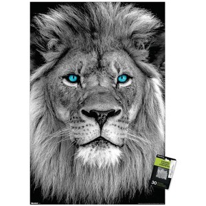 Trends International Reinders: Animals - Blue Eyed Lion Unframed Wall Poster Prints - 1 of 4