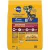 Pedigree High Protein Beef and Lamb Flavor Dry Dog Food - 2 of 4