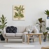 Stupell Industries Vintage Tropical Plant, 30" x 40" - 2 of 4