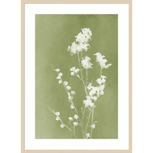 Amanti Art Monograph Green Flowers by Amini54 Wood Framed Wall Art Print - 1 of 4