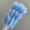 Alilang Dried Bunny Tail Grass Stems for Modern Home Decoration and Floral Arrangements, 23.5 Inches - 2 of 2