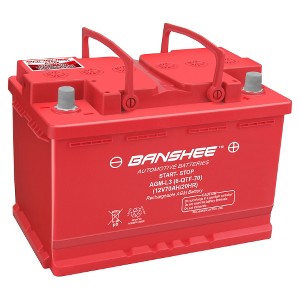 Banshee Group 48 Automotive Starting AGM 12 Volt Battery - 1 of 1