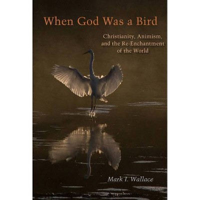 When God Was a Bird - (Groundworks: Ecological Issues in Philosophy and Theology) by  Mark I Wallace (Paperback)