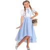 HalloweenCostumes.com Girl's Gingham Hi-Lo Dress Kansas Girl Costume - 3 of 4