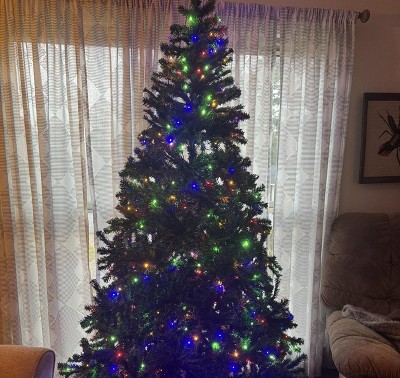 Guest review image 4 of 4, zoom in