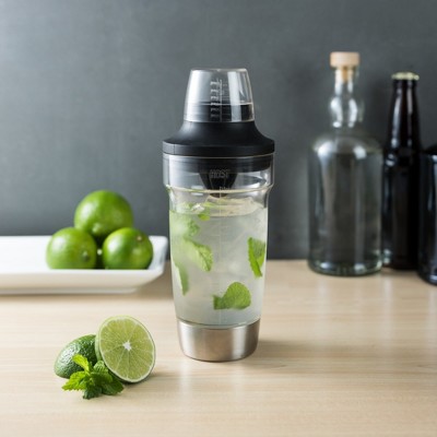 Stainless Steel and Clear All-in-One Cocktail Shaker Set