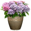 Classic Home and Garden Indoor/Outdoor Round Corinthian Resin Flower Pot Planter - 2 of 4