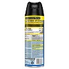 Raid Flying Insect Killer Outdoor Bug Spray - Fresh - 18oz - 2 of 4