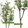Artificial Eucalyptus Tree with 1Pc PE Simulated Eucalyptus - 4FT, 5FT, 6FT Options, Realistic Indoor Decor, Home and Office Decorative Plant - 4 of 4