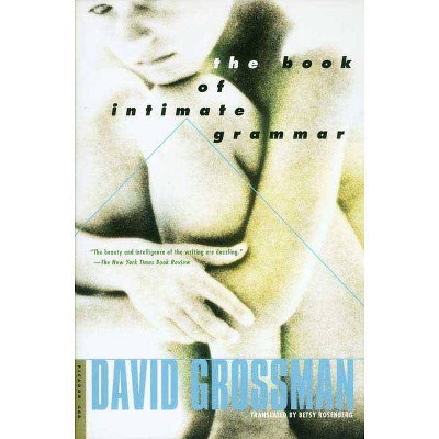 The Book of Intimate Grammar - by  David Grossman (Paperback)