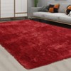 Shag Area Rug Ultra Soft Shaggy Rug Fluffy Shag Rugs for Living Room - 3 of 4