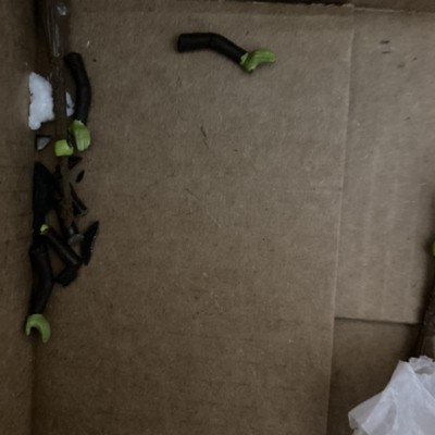 Guest review image 5 of 6, zoom in