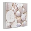 Stupell Industries White Mixed Sand Dollar Shells Framed Giclee Art - 2 of 4