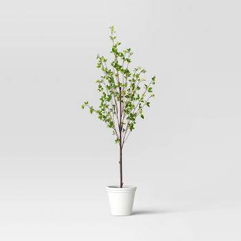 72" Ficus Artificial Tree - Threshold™ designed with Studio McGee